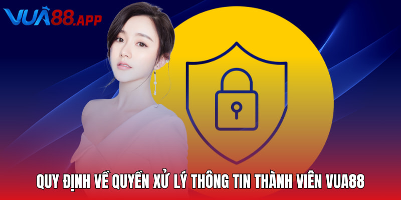 Quy định về quyền xử lý thông tin thành viên VUA88