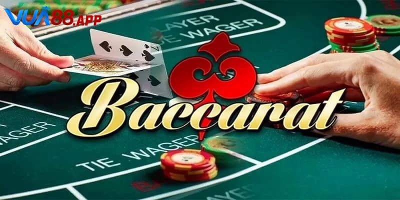 Tìm hiểu baccarat long bảo là gì nhanh chóng cùng Vua88